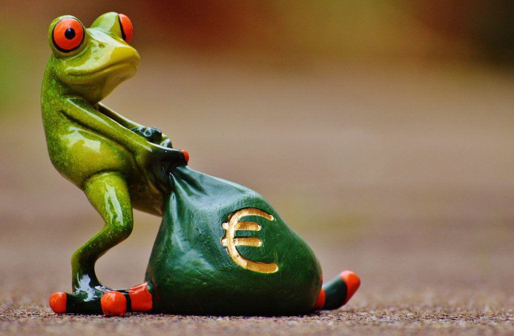 frog, money, euro